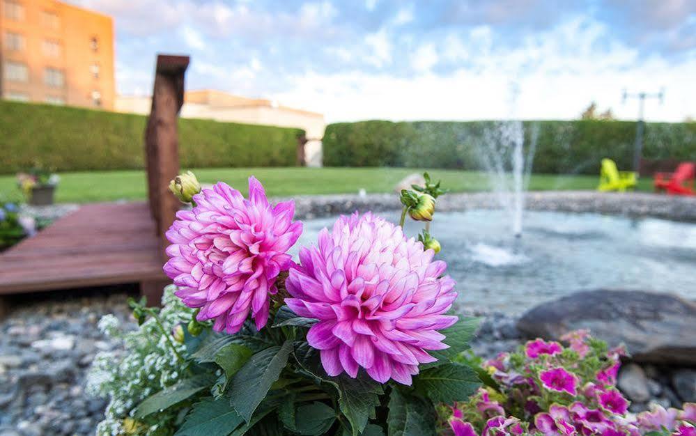 Hotel Le Victorin, An Ascend Hotel Collection Member Вікторіявіль Екстер'єр фото